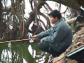 hanoi23.jpg